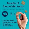 Stewart Freeze Dried Beef Liver Dog Treats - 17.5 Ounce- DS - 3 of 3