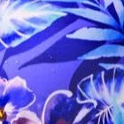 electric iris hibiscus