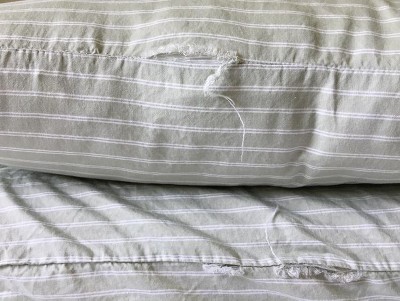 Guest review image 1 of 1, zoom in