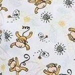 monkey