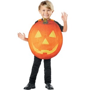 HalloweenCostumes.com 2T/4T   Classic Pumpkin Toddler Costume, Orange/Green/Orange - 1 of 1
