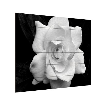 Trademark Fine Art - Kurt Shaffer 'Gardenia in Black and White' Wood Slat Art