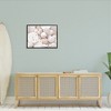 Stupell Industries White Mixed Sand Dollar Shells Framed Giclee Art - 3 of 4