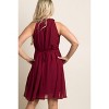 Pinkblush Burgundy Chiffon High Neck Maternity Dress - 4 of 4