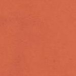 clear push pins bundle