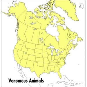 A Peterson Field Guide to Venomous Animals and Poisonous Plants - (Peterson Field Guides) by  Roger Caras & Steven Foster (Paperback) - 1 of 1