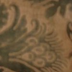 antique white,natural wood wash