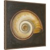 Amanti Art Seashell I by Patricia Pinto Canvas Wall Art Print Framed 22 x 22-in. - 3 of 4