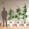 6FT Dracaena Draco Artificial Dragon Tree Realistic Dracaena Fragrans Faux Tree with White Pot for Home Office Indoor Outdoor Decor - 4 of 4