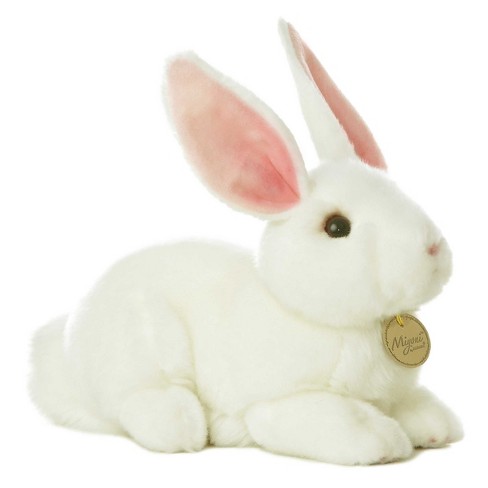 Bunny Ears/White w/Hang Tag : : Pet Supplies