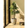 Rosemead Home & Garden Concrete Outdoor Planter Pot Beige 18"x18"x17" - 2 of 4