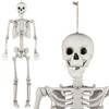 Costway 5.4 FT Halloween Skeleton Decoration Life Size Large Skeleton with Posable Joints 64.5 Inches Ivory White - 2 of 4