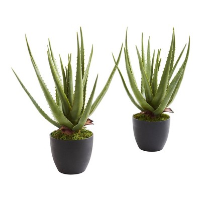 Nearly Natural 18-in Aloe Artificial Plant (Set of 2)