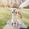 Pavilion Gift Company - Hot Dog - 12.75" Canvas Dog Toy on Rope - Pet Toy - 2 of 4