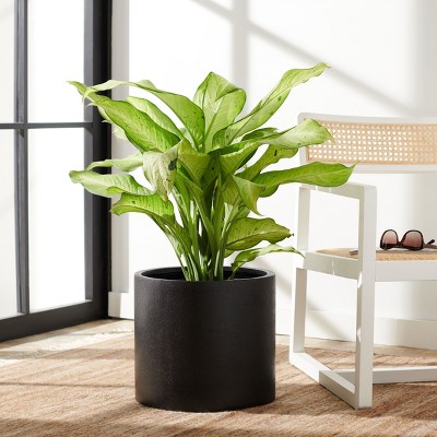 Braslen Black Concrete Round Patio Planter