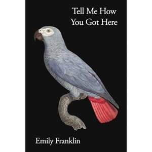 Tell Me How You Got Here - by  Emily Franklin (Paperback) - 1 of 1