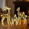 Karl Home 3pcs Lighted Iridescent Reindeer Family Christmas Decoration 2D - 2 of 2
