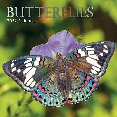 The Gifted Stationery 2021 - 2022 Monthly Wall Calendar, 16 Month, Nature Butterfly Insects Theme with Reminder Stickers, 12 x 12 in