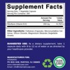 Vitamin B2 250 mg - 200 Capsules - 2 of 4