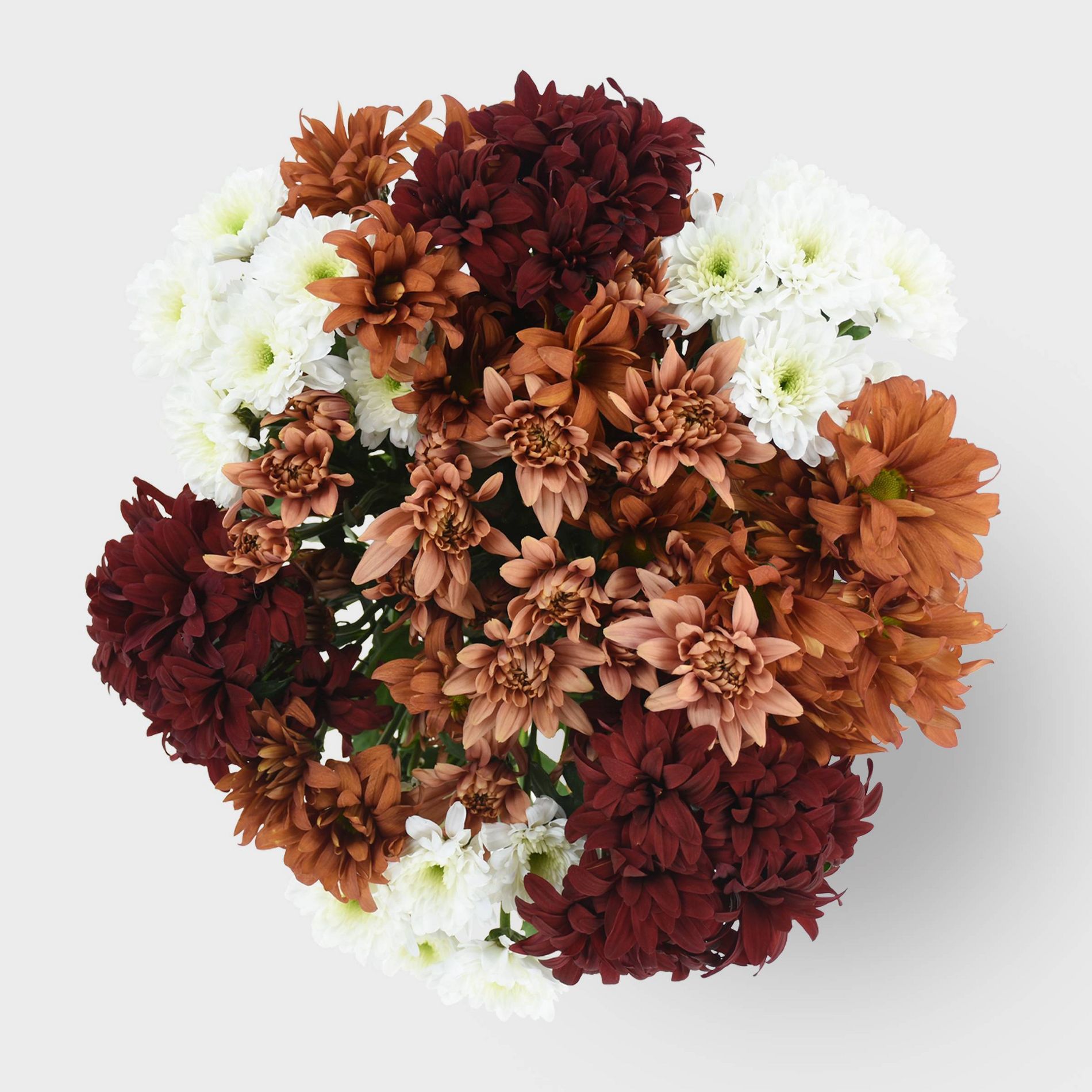 Fresh Rainbow Spice Pomps Flower Bouquet - Good Little Garden™