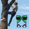 VEVOR Tree Climbing Spikes, 1 Pair Alloy Steel Climbing Spurs, 350lbs Load Capacity Tree Climbing Gear with Straps and Spike Protectors, Green - 2 of 4