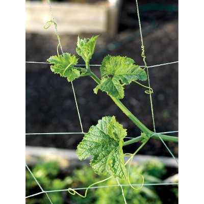 Vine and Veggie Trellis Netting, 5 x 30 - Gardener's Supply Company