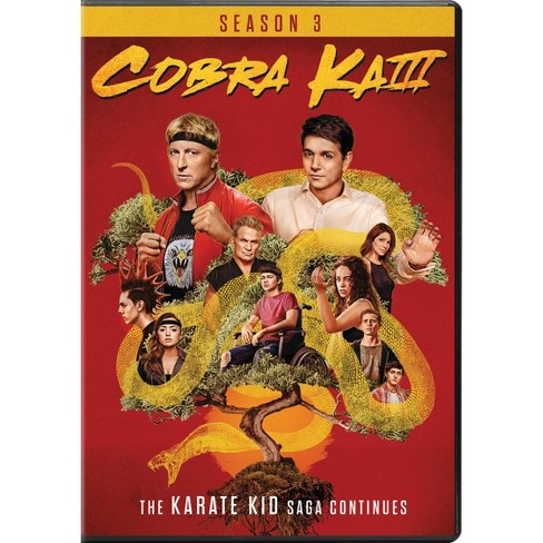 when is cobra kai season 6 coming｜TikTok Search