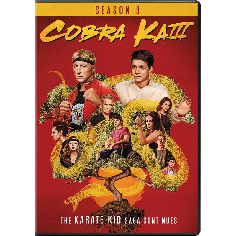 Cobra Kai: Season 3 (DVD), 1 of 2