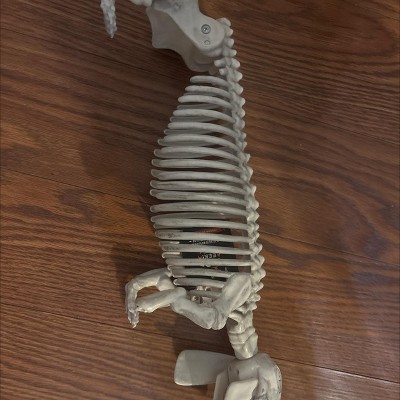 Guest review image 2 of 3, zoom in