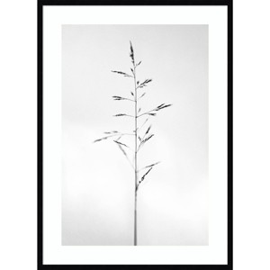 30" x 41" Amid The Flowers 51 by Teis Albers Wood Framed Wall Art Print - Amanti Art: Giclee Print, Hardwood Frame, Wire Mount - 1 of 4