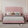 Full Size Upholstered Platform Bed with Tufted Headboard, Velvet Frame, Rivet Trim Design, No Box Spring Needed, Modern Style-Maison Boucle - 2 of 4