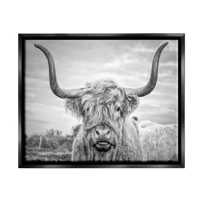 Stupell Industries Black and White Highland Cow Photograph