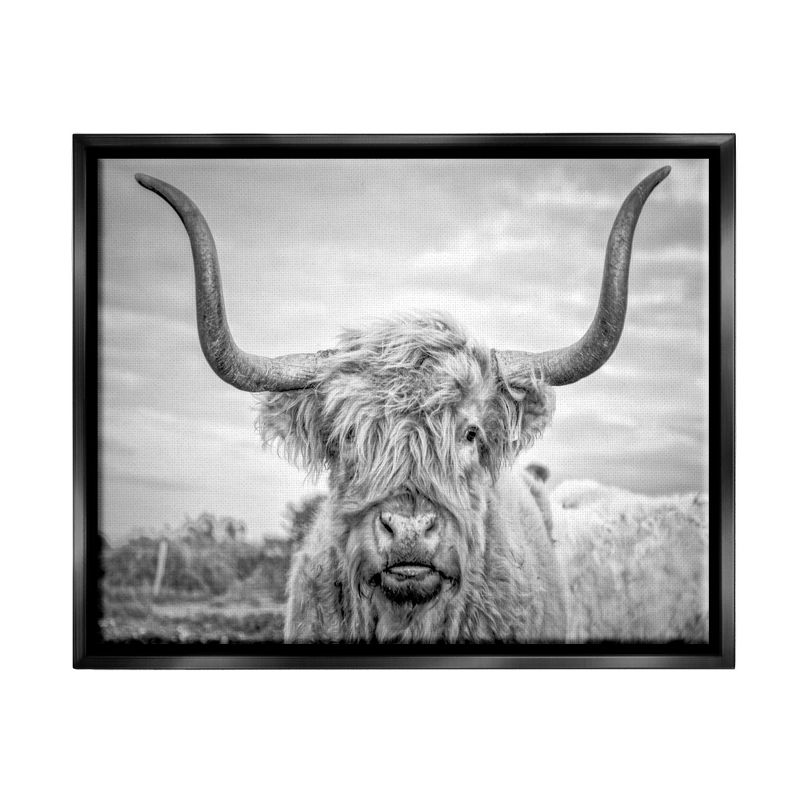 Stupell Industries Black and White Highland Cow Photograph, 1 of 7