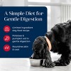 Blue Buffalo LID Grain-Free Adult Wet Dog Food with Salmon Flavor - 2.5oz - 4 of 4