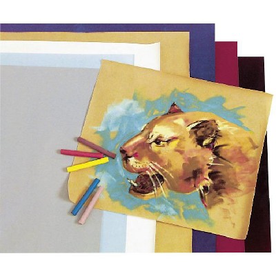 Hygloss Velour Paper, 20 x 27 Inches, Jet Black, 10 Sheets