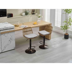 Vynxaria Gray Rattan Swivel Accent Chairs - Set of 2, Adjustable Counter Height - 1 of 4