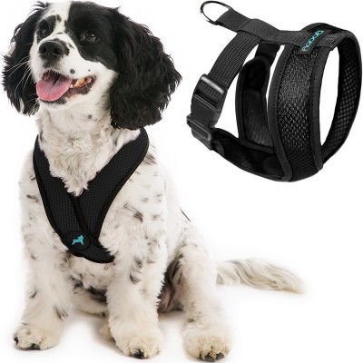 Gooby Black XLarge Polyester Comfort X Harness for Small Dogs, No Pull, Choke