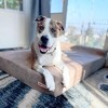 Big Barker 7" Orthopedic Dog Bed - Headrest Edition - 4 of 4