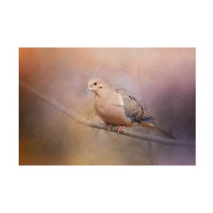 Trademark Fine Art -Jai Johnson 'Mourning Dove On A Winter Evening' Canvas Art - 1 of 4
