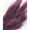 The Lakeside Collection Natural Hays and Grasses Home Accents - Purple Set of 2 Picks 2 Pieces - 2 of 4