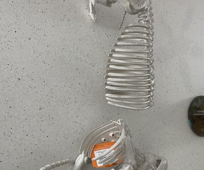 Guest review image 1 of 3, zoom in