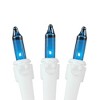 Novelty Lights 50 Feet 100 Bulb Incandescent Mini Lights, 6-Inch Spacing on White Wire, UL Listed for Indoor/Outdoor, Connectable - 4 of 4