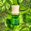 Lifelines Focus Herbal Garden Essential Oil Blend - 2 of 4