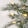 9 ft Snowy Harwich Hinged Artificial Christmas Tree with 700 Warm White LED Lights & Caps+ PowerConnect™ System - 4 of 4