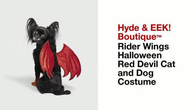 Rider Wings Halloween Red Devil Cat and Dog Costume - Hyde & EEK! Boutique™, 2 of 11, play video