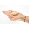Collectible Wildlife Gifts | Mouse Toy, Shrew,  Rodent, White,  Realistic Rubber Figure, Model, Animal, Hand Painted Figurines,  2.5"    CH084 BB83 - 3 of 4