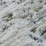 light gray, medium gray, charcoal