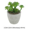 Unique Bargains Artificial Plants Family in Mini Pulp Plastic Green 3.35"x3.35"x3.94" 1 Pc - 3 of 4