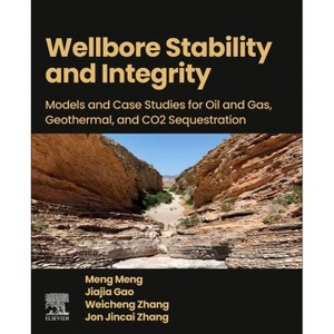 Wellbore Stability and Integrity - by  Meng Meng & Jiajia Gao & Weicheng Zhang & Jon Jincai Zhang (Paperback) - 1 of 1