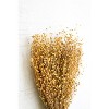 Bundle of Natural Lino Stems – 22" Tall Dried Botanical Filler by Kalalou - 2 of 3